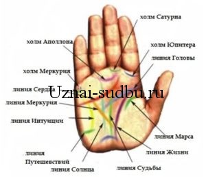 Основные и вспомогательные знаки на руке