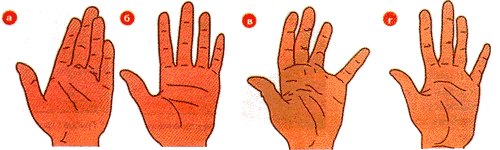 Расстояние между пальцами