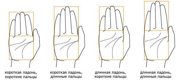 Какие встречаются формы рук