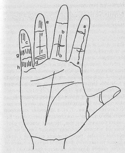 (рис.6) Хиромантия линии на пальцах: схематический рисунок