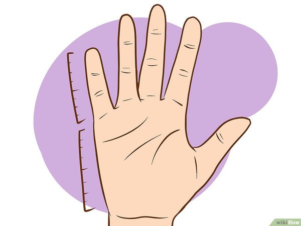Что могут рассказать размеры рук и пальцев
