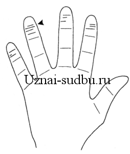 Линии стресса на фаланге пальцев (хиромантия)