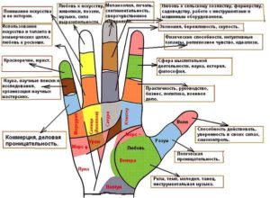 Значимость пальцев в хиромантии