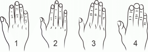Расположение пальца относительно ладони