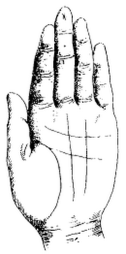 Знак расположился на верхней фаланге среднего пальца