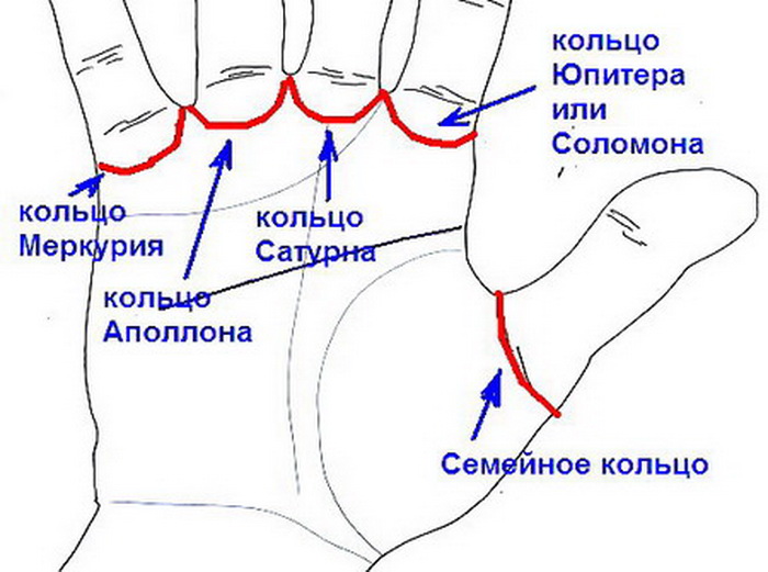 Что значит кольцо на правом указательном пальце. Хиромантия линия Соломона. Обрзначениемколец на пальцах. Символы колец на пальцах. Расположение колец на пальцах.