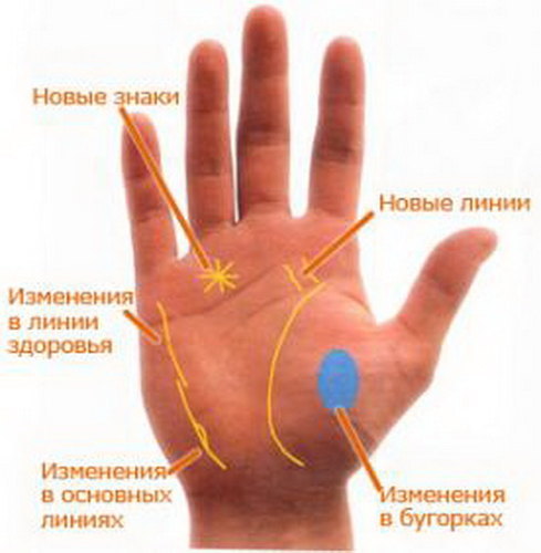 Знак друга на руке (хиромантия), судьбоносные символы